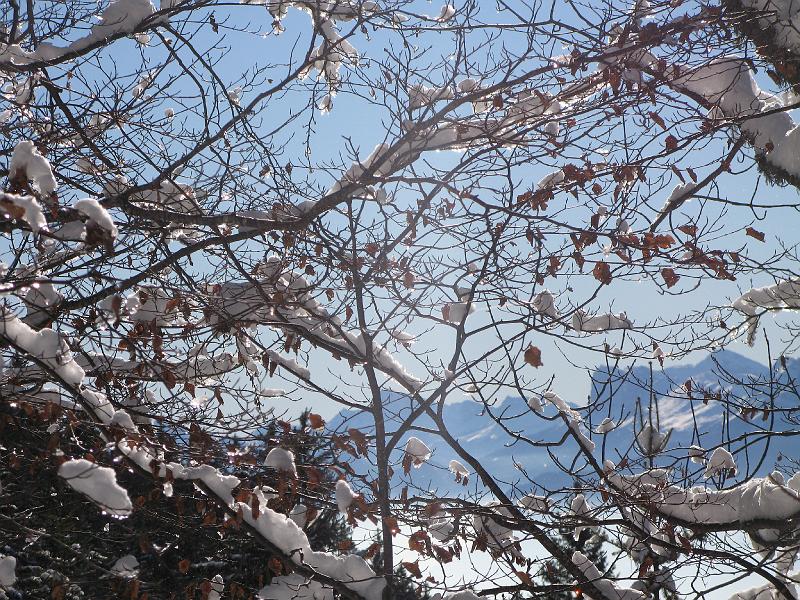 ChameChaude 026.jpg